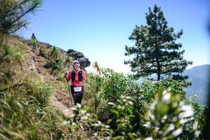 BIB: 
                            <button type="button" onclick="openModal(26608574)" class="btn btn-primary btn-sm float-right btn-popup" data-toggle="modal" data-target=".modal-high-quality">
                        <i class="fas fa-shopping-cart"></i> Add to Cart
                    </button>
                                            <button type="button" onclick="isThisMe(26608574, true)" class="btn btn-success btn-sm float-right btn-popup btn-isme hidden" data-toggle="tooltip" data-placement="bottom" title="นี่คือรูปของคุณใช่ไหม คลิกที่นี่เพื่อเอาเข้าอัลบั้ม">
                        <i class="fas fa-plus"></i> Add to album
                    </button>
                    <button type="button" onclick="isThisMe(26608574, false)" class="btn btn-warning btn-sm float-right btn-popup btn-isnotme hidden">
                        <i class="fas fa-ban"></i> Remove from album
                    </button>